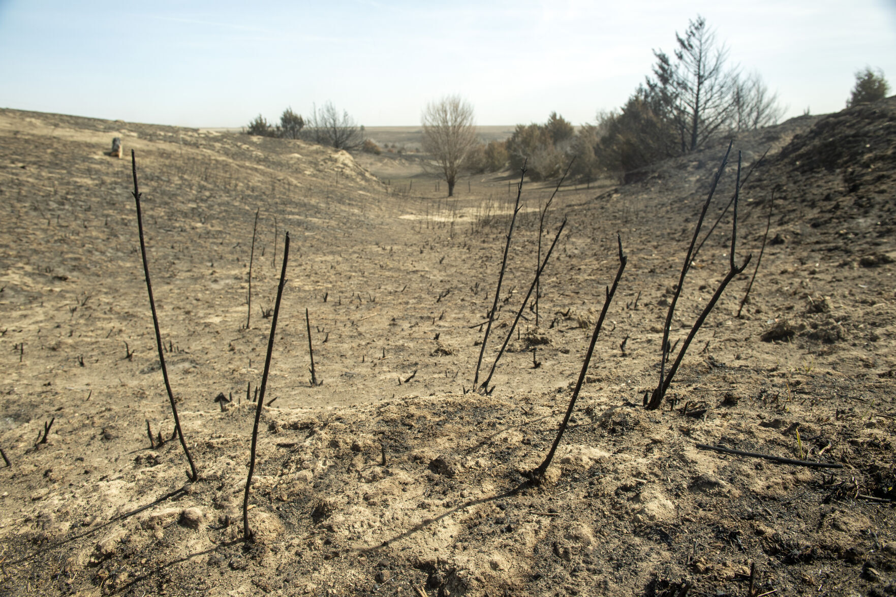 Wildfire, 4.12